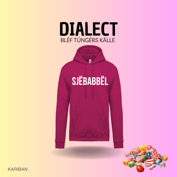 Dialect - Sjëbabbël (hoodie)
