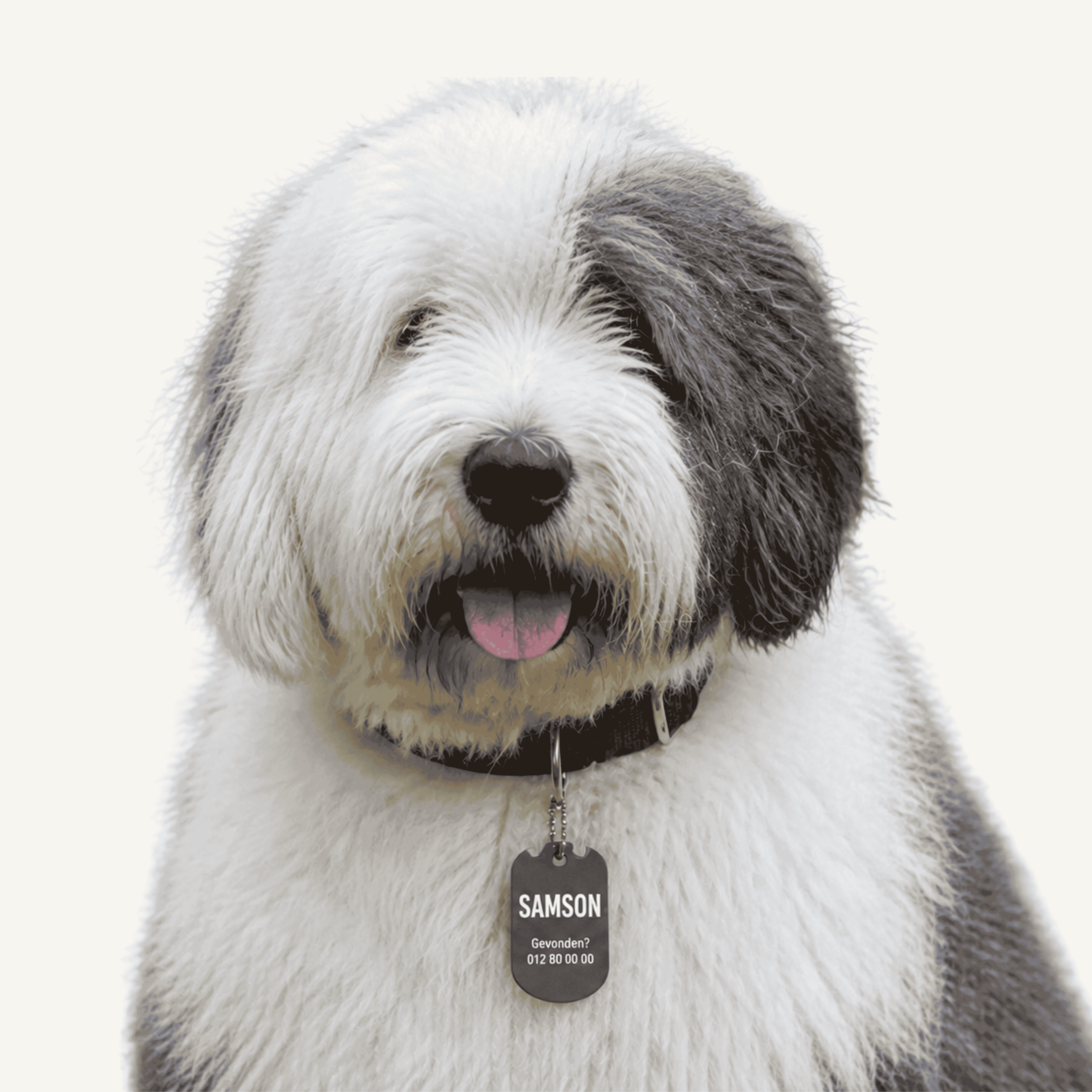 Dogtag (3x6cm)